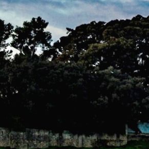 PGOM Castilleja de Guzman