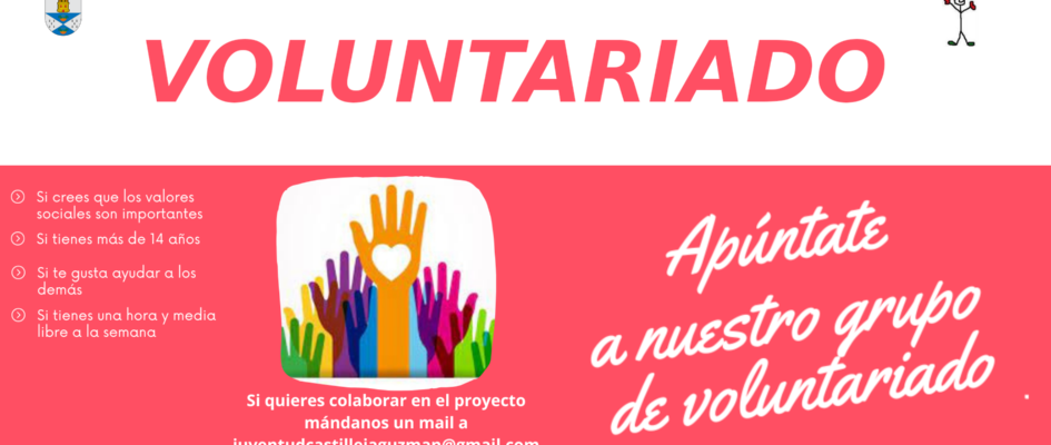 BANNER VOLUNTARIADO