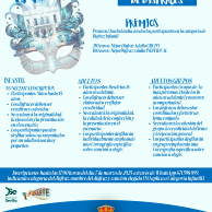 BASES CONCURSO DISFRACES CARNAVAL