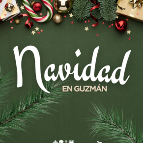 NAVIDAD GUZMAN CARTEL