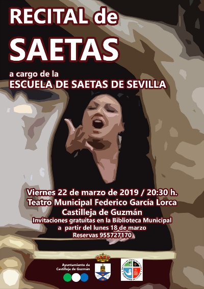Saetas cartel copia